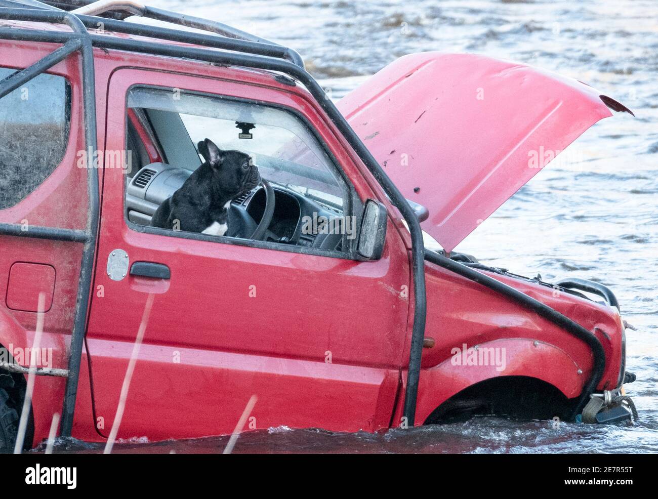 **SI PREGA DI NOTARE LA DATA CORRETTA** salvataggio fiume West Lothian, Scozia, Regno Unito. 30 gennaio 2021. Un uomo recupera un veicolo Suzuki Jinny con il cane a bordo dal fiume Almond, West Lothian, Scozia Regno Unito. Credit: Ian Rutherford/Alamy Live News. Foto Stock