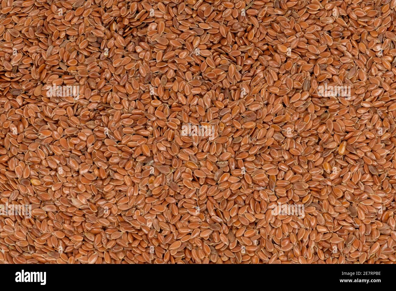 Closeup di semi di lino (Linum usitatissimum) Foto Stock