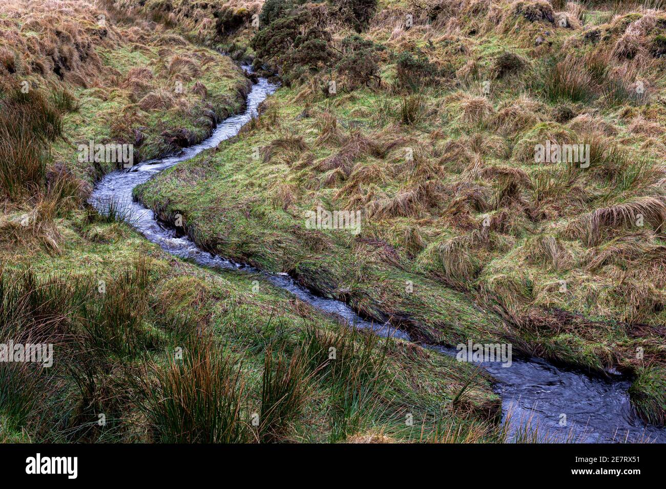 Country Scene vicino a Portmagee, County Kerry, Irlanda Foto Stock