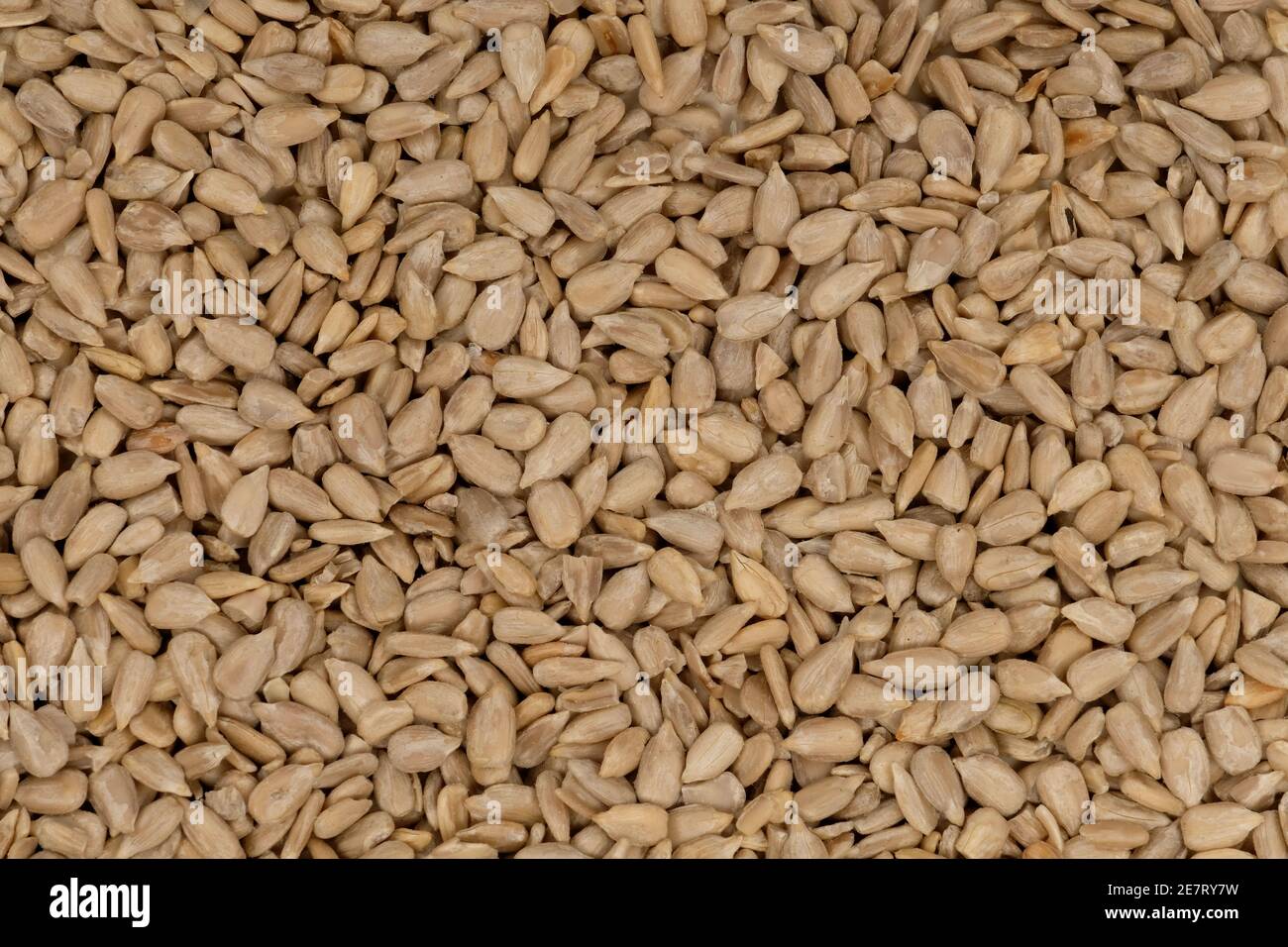 Olio di semi di girasole di kernel Foto Stock