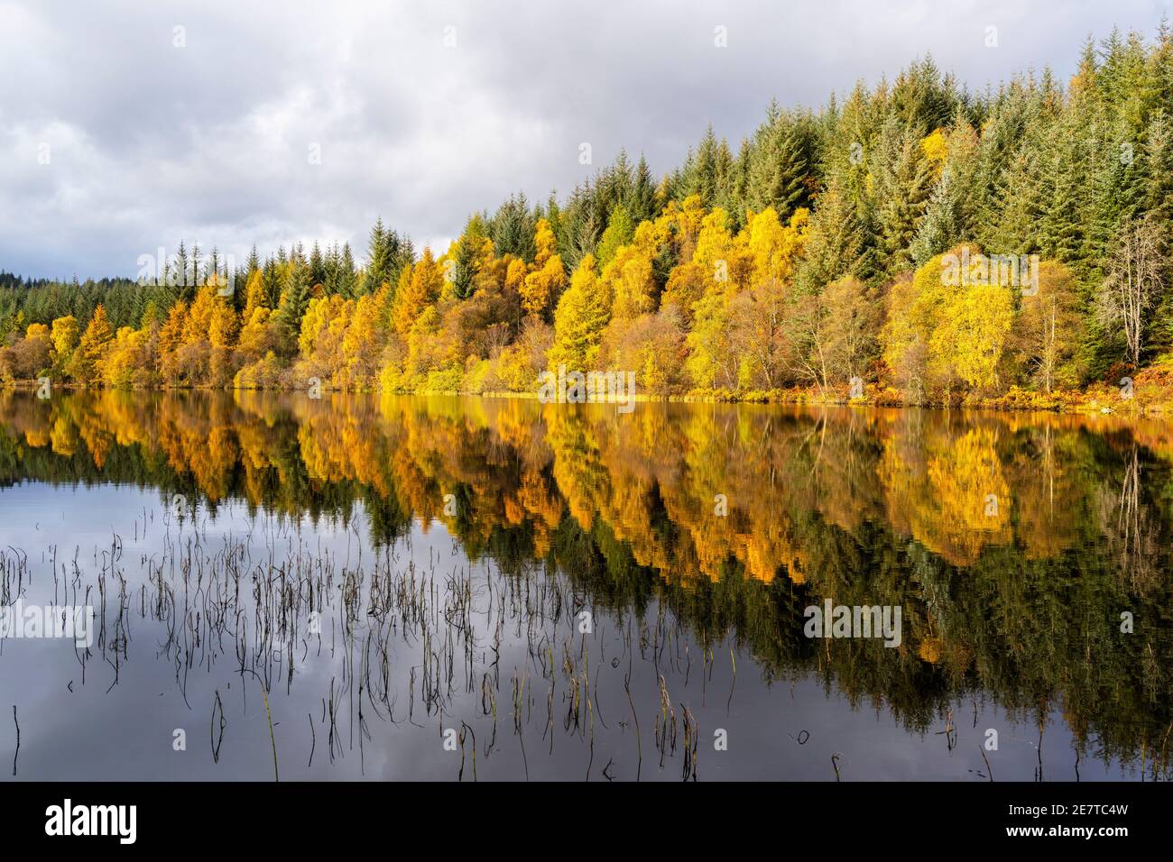 Riflessioni autunnali su Lochan Spling nella Loch Ard Forest, Aberfoyle, Scozia, Regno Unito Foto Stock