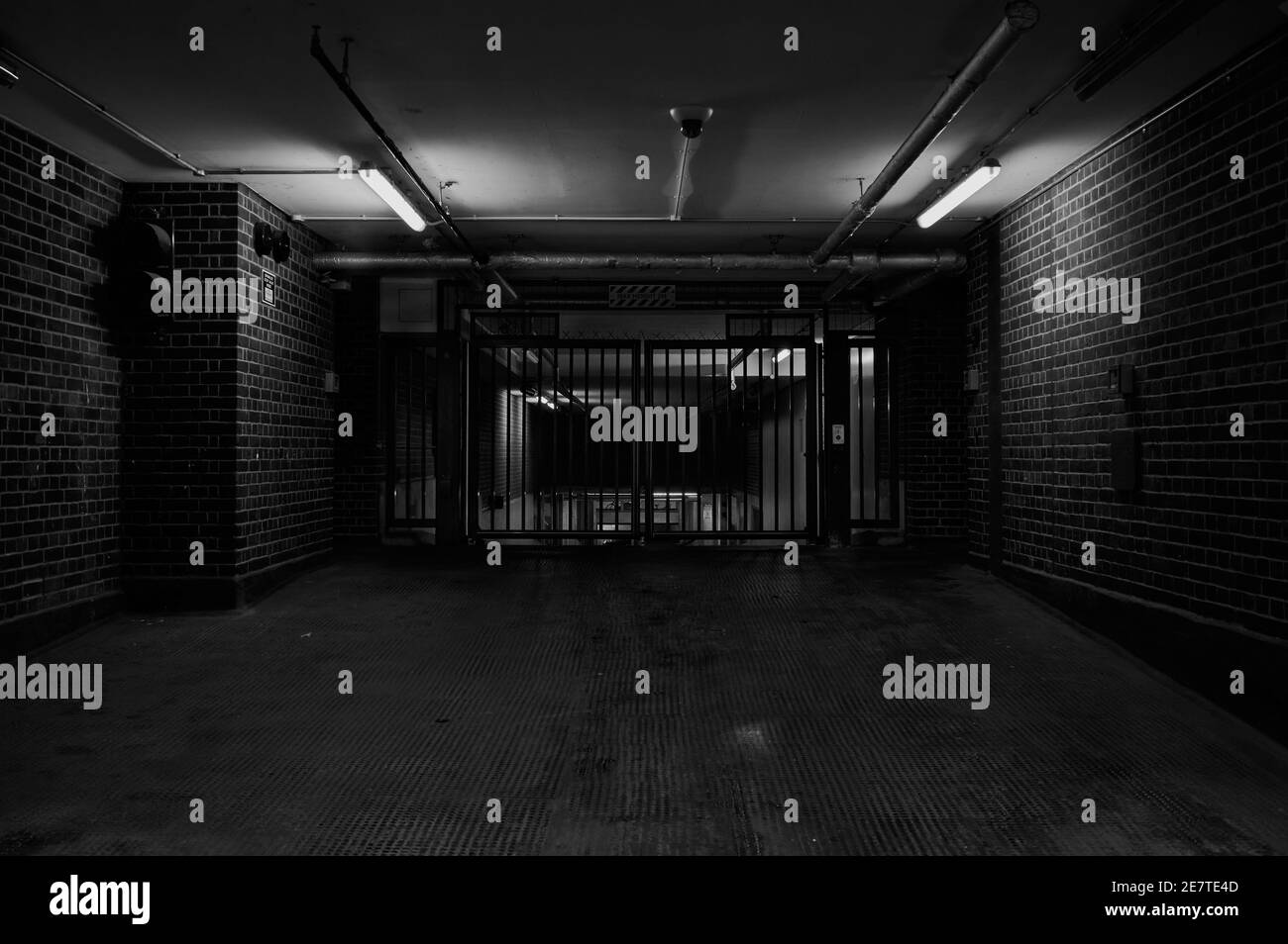 Londra, UK - 29 Jan 2021 : immagine in bianco e nero della porta di un garage di notte Foto Stock