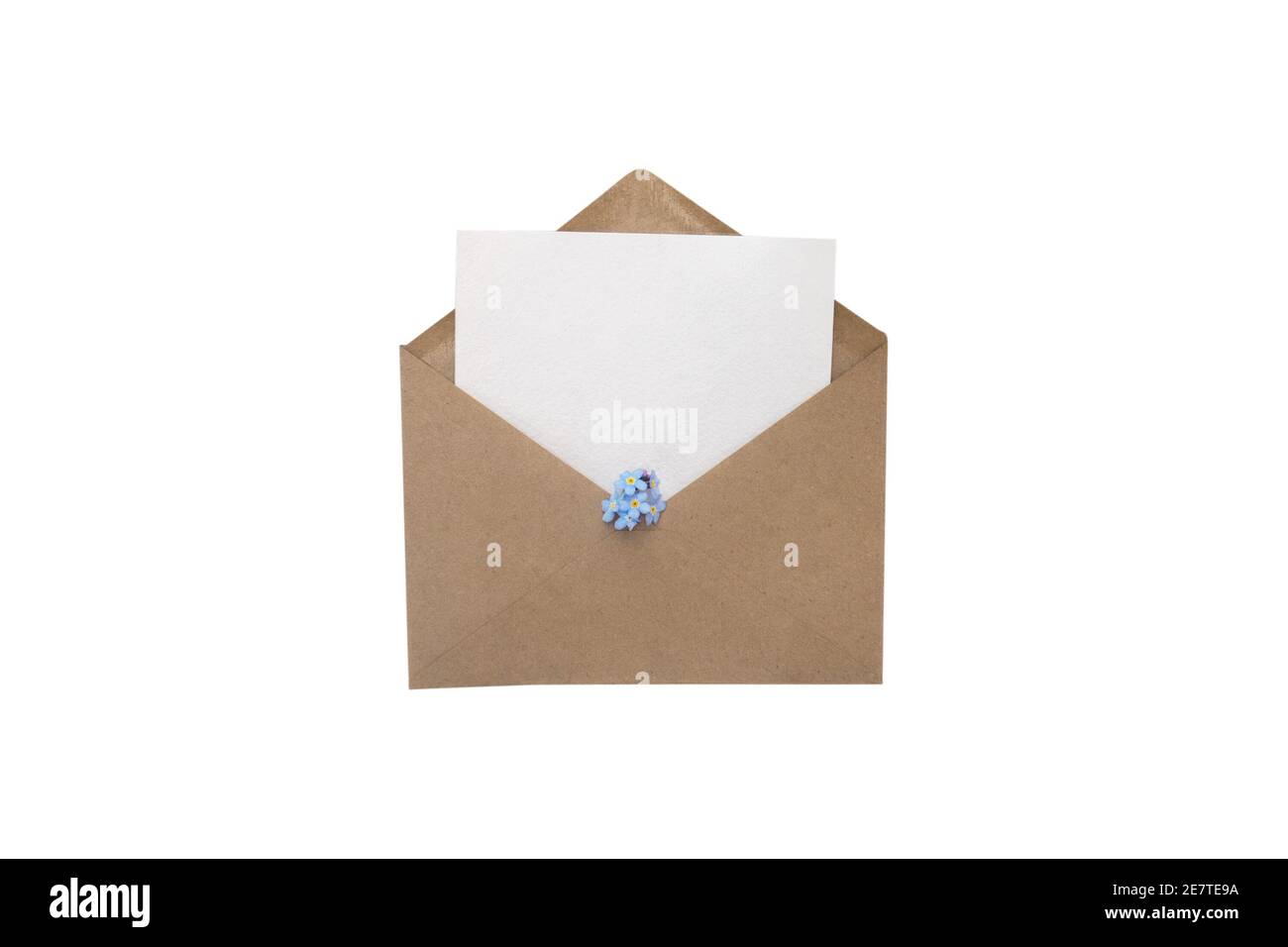 Busta di carta Kraft con cartoncino bianco e blu Forget-me-nots fiori isolati su bianco Foto Stock