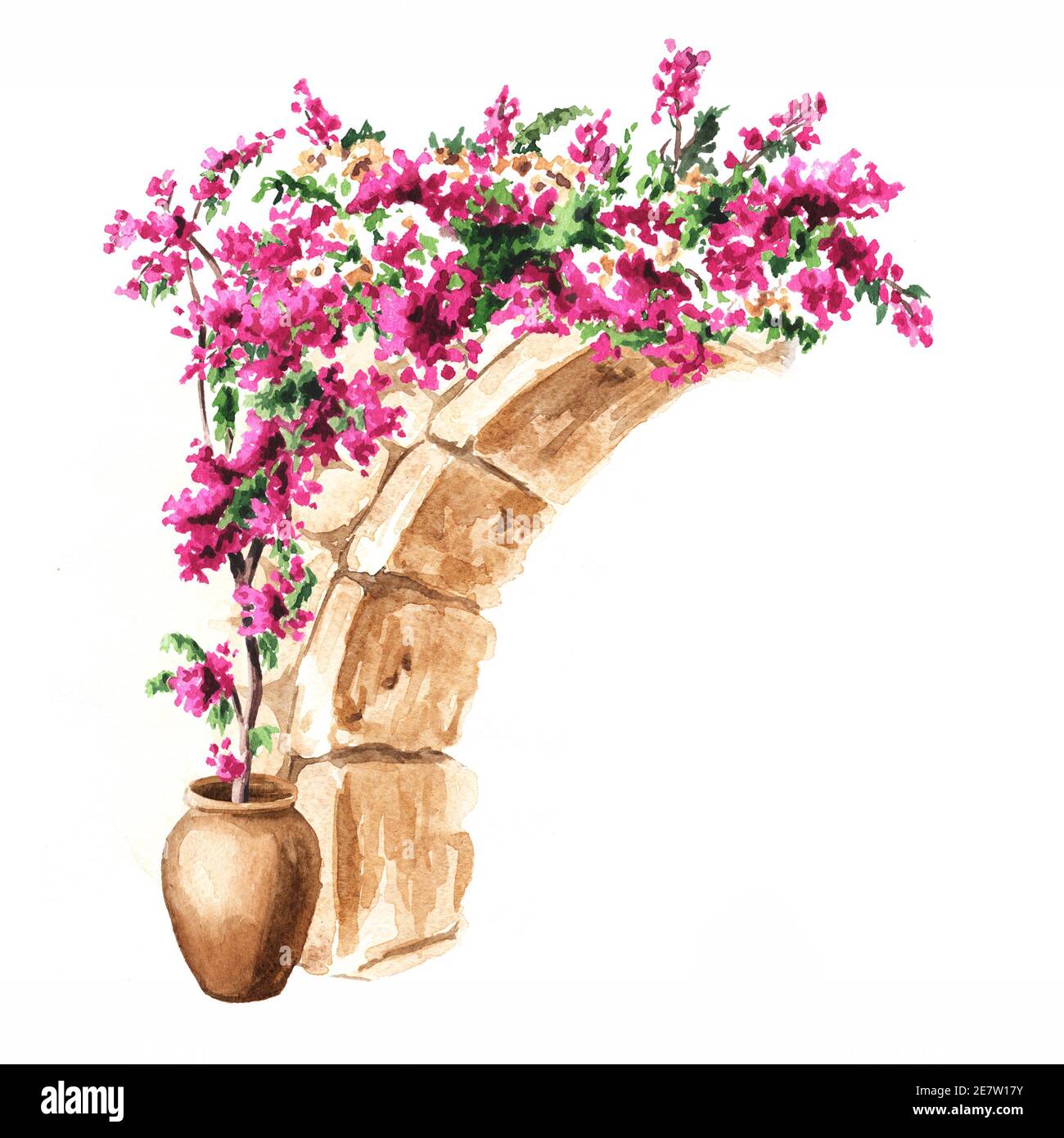 Bougainvillea arco fiorito, elementi decorativi, disegno a mano acquerello isolato su sfondo bianco Foto Stock