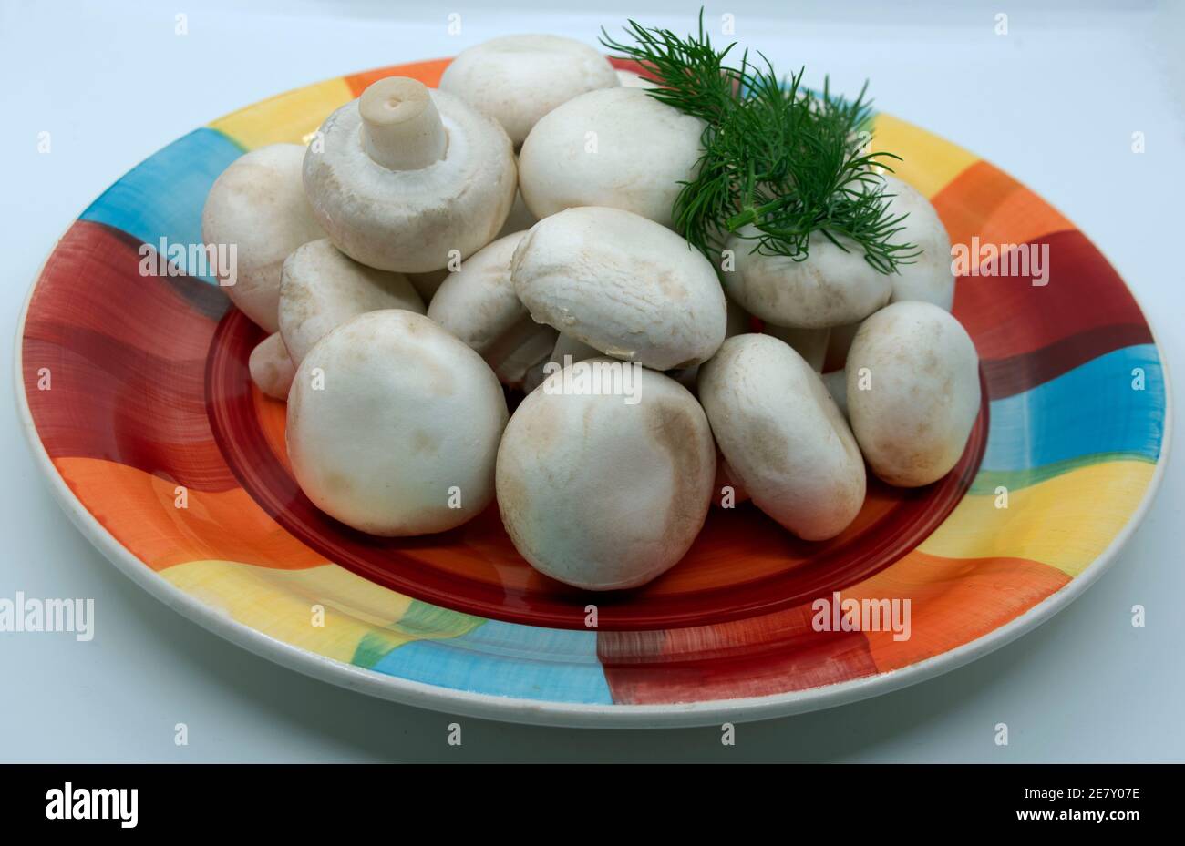 Funghi freschi champignons con uno sprig di aneto su un piatto colorato. Foto Stock