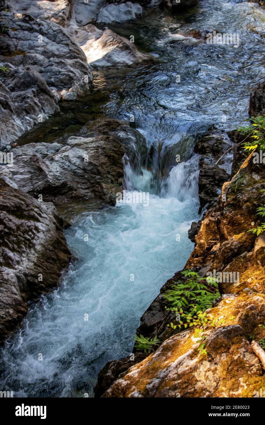 Rapide prima delle cascate, Qualicum Falls, Vancouver Island, BC, Canada Qualicum Falls è una delle attrazioni dell'isola di Vancouver in BC, Canada. Foto Stock