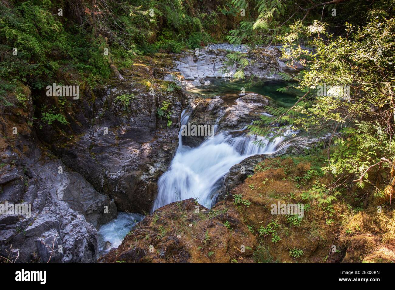 Il fiume selvaggio scorre attraverso la giungla, le cascate di Qualicum, Vancouver Island, BC, Canada. Le Cascate di Qualicum sono una delle attrazioni dell'Isola di Vancouver in Foto Stock