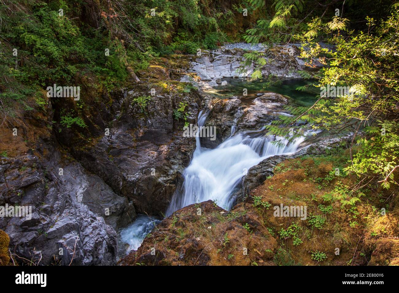 Molte cascate prima della grande, Qualicum Falls, Vancouver Island, BC, Canada. Le Cascate di Qualicum sono una delle attrazioni dell'Isola di Vancouver in Foto Stock