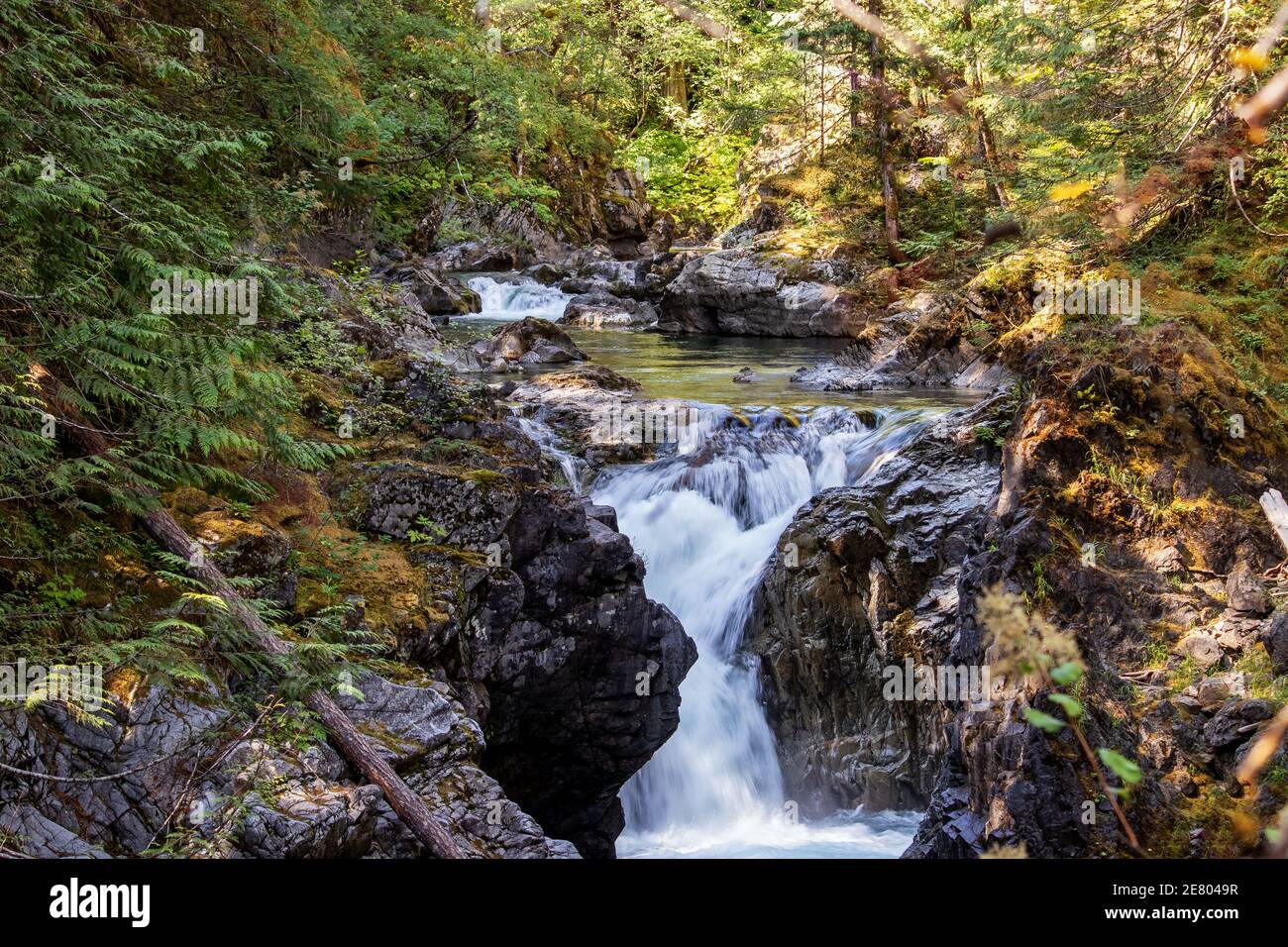 Tesoro nascosto della natura, Qualicum Falls, Vancouver Island, BC, Canada. Le Cascate di Qualicum sono una delle attrazioni dell'Isola di Vancouver in BC, Canad Foto Stock