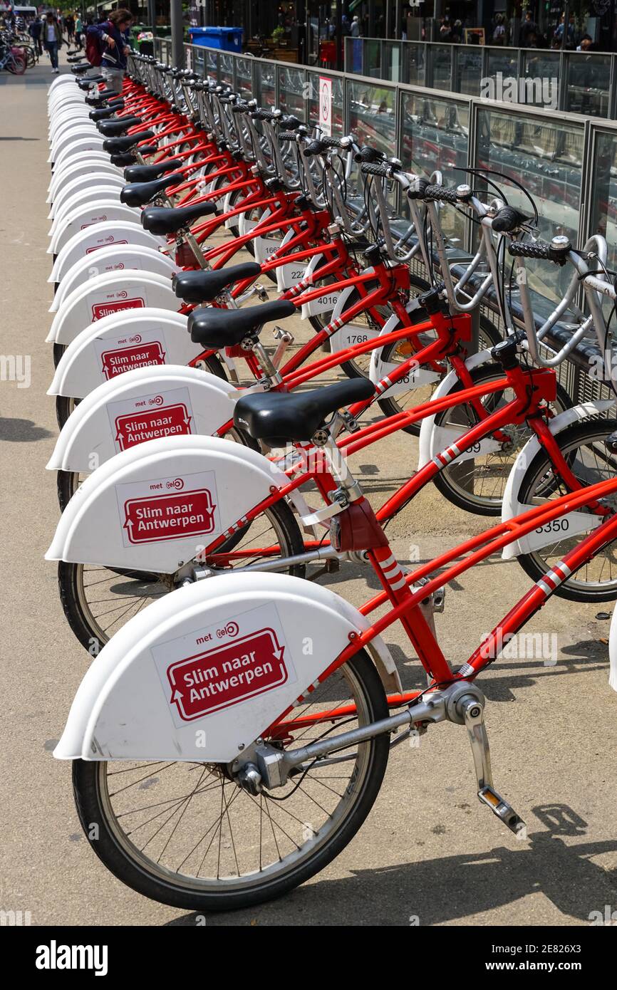 Noleggio biciclette, biciclette rosse parcheggiate ad Anversa, Belgio Foto Stock
