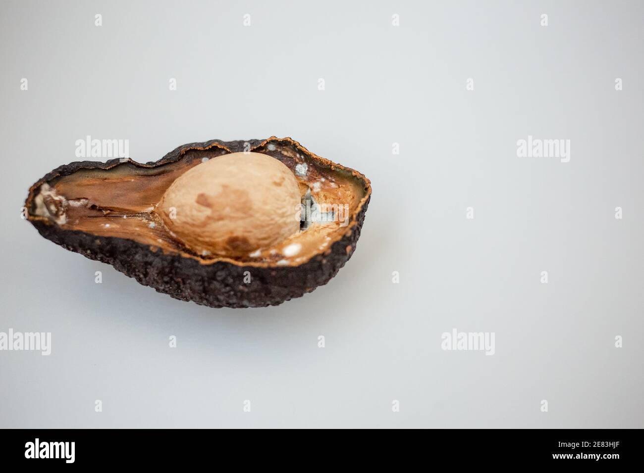 Metà di avocado malsano guastato su sfondo chiaro. Avocado difettoso tagliato aperto. Avocado ammuffito Foto Stock