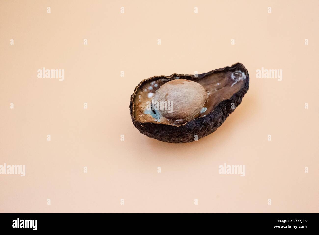 Metà di avocado malsano guastato su sfondo chiaro. Avocado difettoso tagliato aperto. Avocado ammuffito Foto Stock