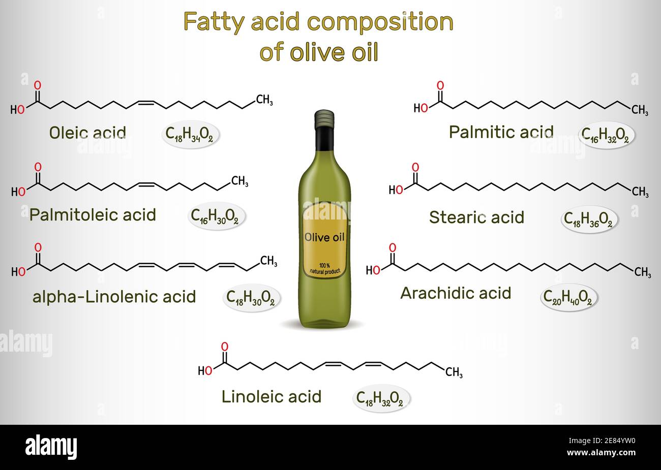 Composizione di acido grasso dell'olio d'oliva. Composti chimici: Acido oleico, linoleico, palmitico, stearico, palmitoleico, alfa-linolenico, arachidico. Strutturale Illustrazione Vettoriale