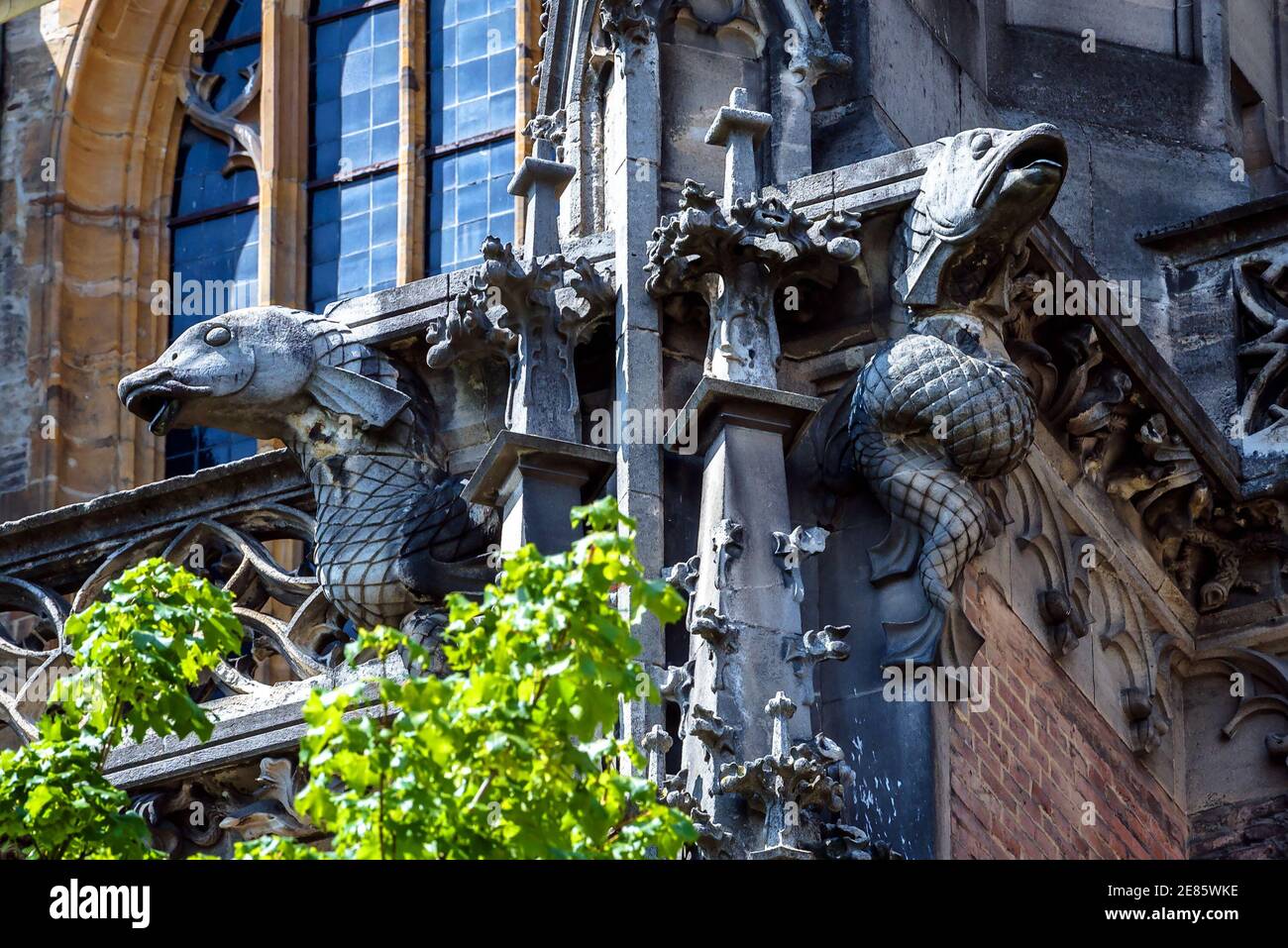 Gargoyles sulla cattedrale di Ulm o sulla città di Ulm, Germania. Particolare della famosa chiesa gotica, architettura medievale tedesca. Scultura di pesce su lux ornato Foto Stock