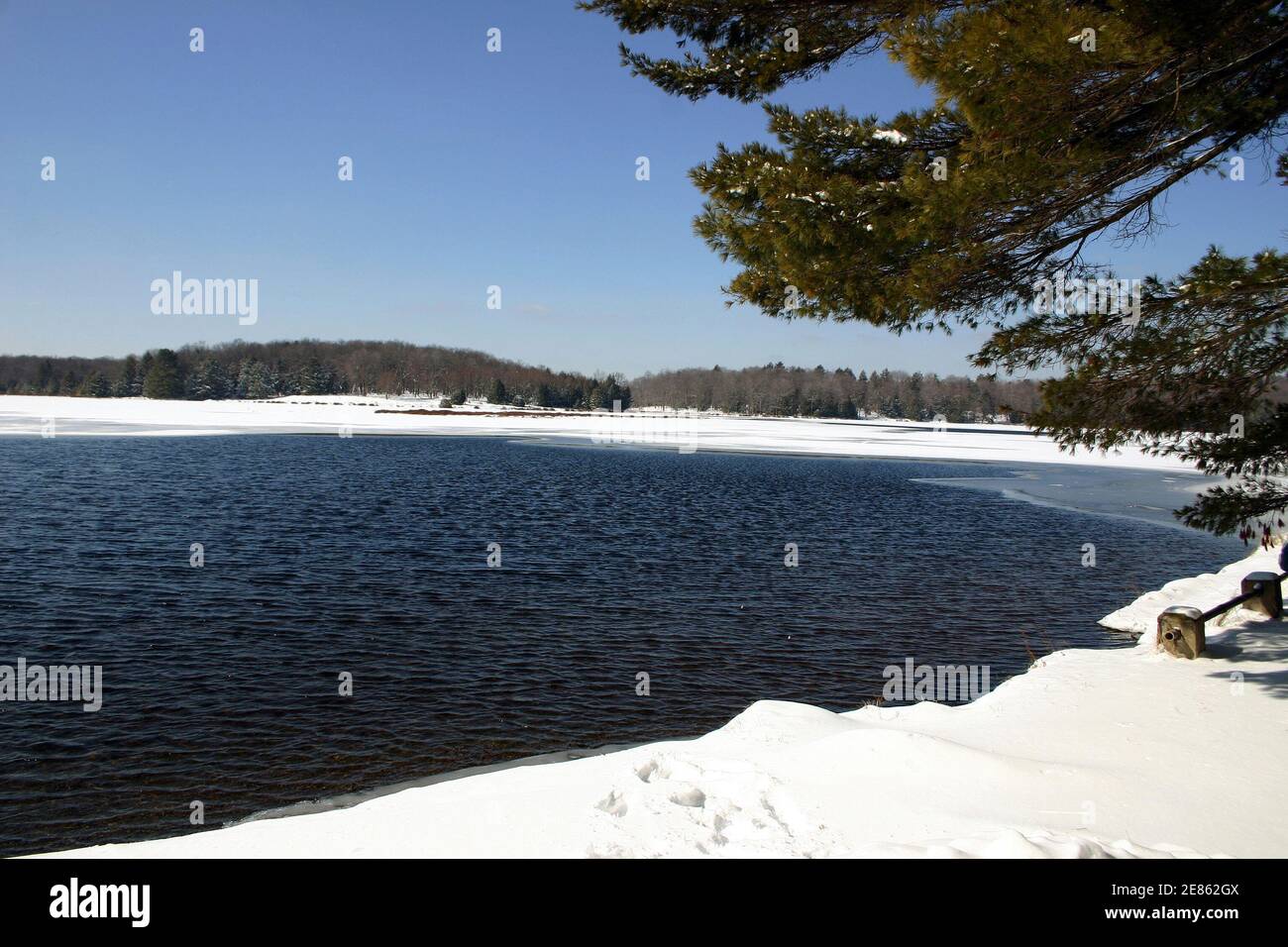 Inverno selvaggio nelle montagne di Pocono della Pennsylvania, Stati Uniti. Parco statale Promised Land. Foto Stock