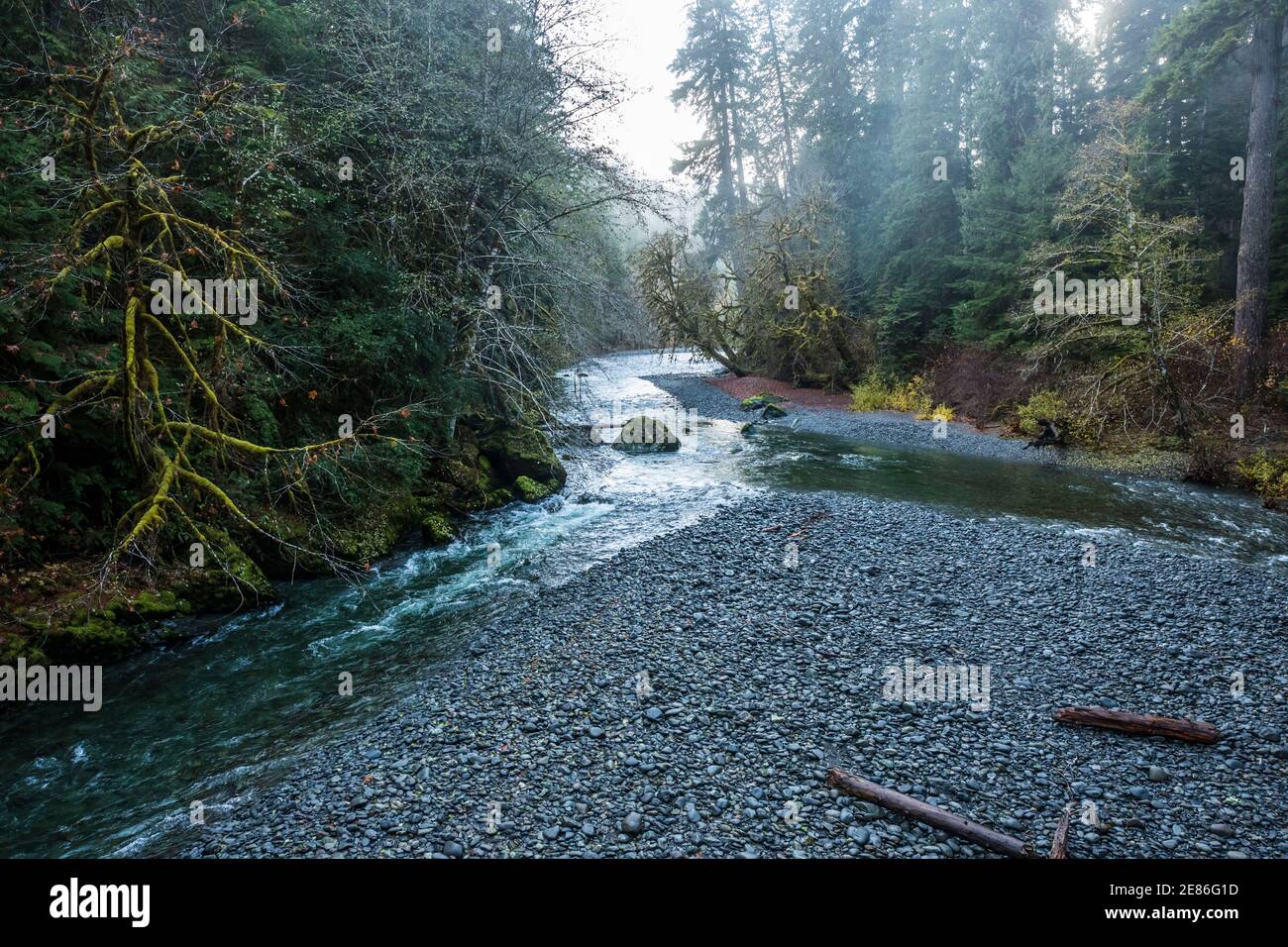 Il fiume Skokomish nell'area di Staircase Rapids del Parco Nazionale Olimpico, Washington, USA. Foto Stock
