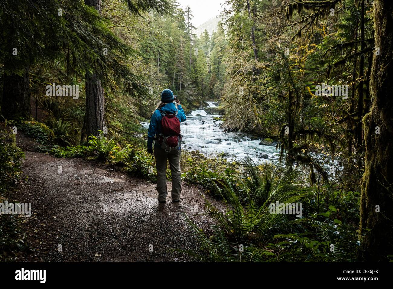 Una donna che scatta fotografie del fiume Skokomish nell'area di Staircase Rapids del Parco Nazionale Olimpico, Washington, USA. Foto Stock