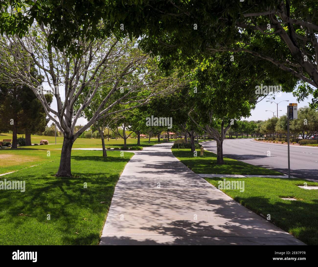 Aliante Nature Discovery Park, No. Las Vegas, Nevada. Foto Stock