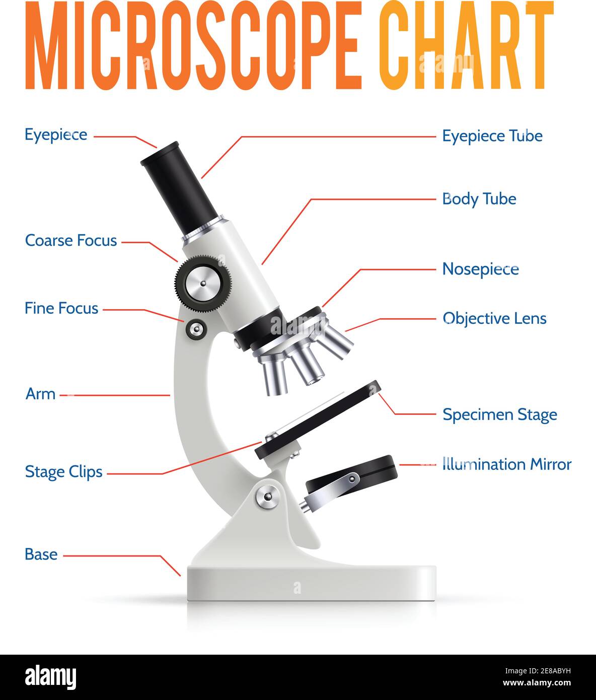 Grafico di presentazione infografica delle parti del potente microscopio  elettronico moderno da laboratorio con immagine vettoriale realistica del  poster della vista laterale dello strumento Immagine e Vettoriale - Alamy