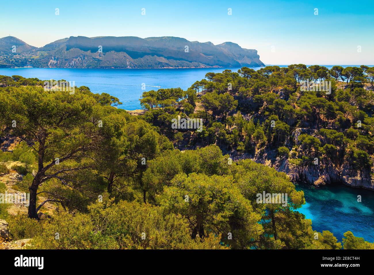 Calanques de Port pin Bay con pini nel Parco Nazionale delle Calanques, Cassis, Provenza, Francia, Europa Foto Stock