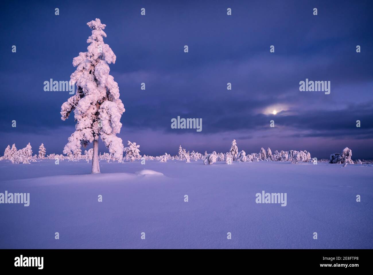 Luna che sorge a Pahakuru capanna selvaggia aperta, Enontekiö, Lapponia, Finlandia Foto Stock