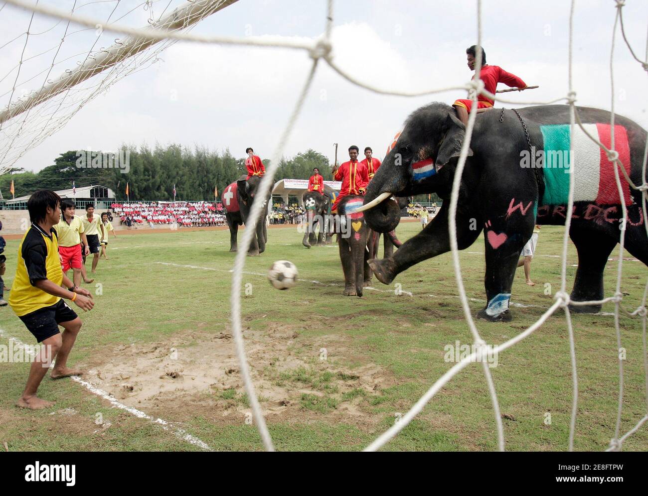 Un elefante cerca di segnare un gol durante una partita di calcio con studenti thailandesi nella provincia di Ayutthaya, 80 km (50 miglia) a nord di Bangkok, Thailandia 22 giugno 2006. La partita per la campagna contro il calcio-gioco d'azzardo durante la Coppa del mondo 2006. REUTERS/Chaiwat Subprasom (THAILANDIA) Foto Stock