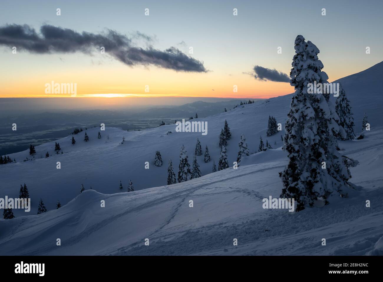 Bel tramonto in montagna in inverno con foresta di abete rosso coperto di neve. Foto Stock
