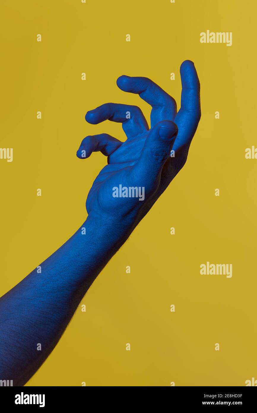 mano blu dell'uomo che tiene qualcosa di invisibile su sfondo giallo. Foto verticale isolata Foto Stock