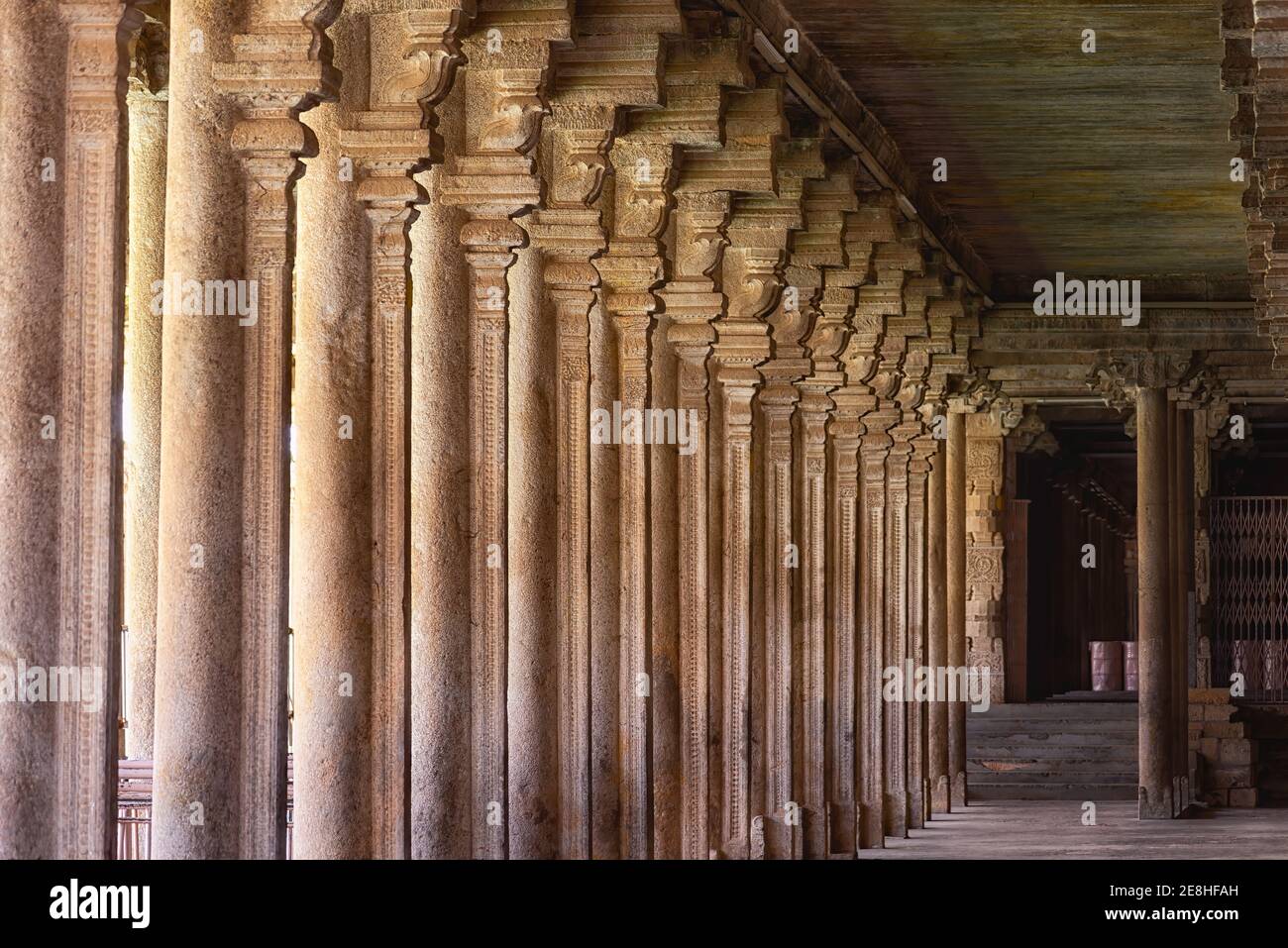 Colonnato nel tempio di Sri Ranganathaswamy, India. Lo Sri Ranganathaswamy è un tempio indù costruito nello stile architettonico della Dravidiana Foto Stock
