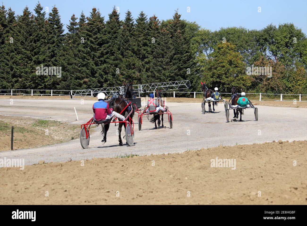 in attesa di inizio imbracatura cavallo trotter razza ippodrome Foto Stock