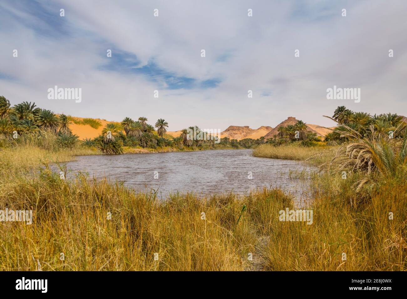 Lago d'acqua dolce come parte dei laghi Ounianga vista UNESCO nel mezzo del deserto, nel nord del Ciad, Africa Foto Stock