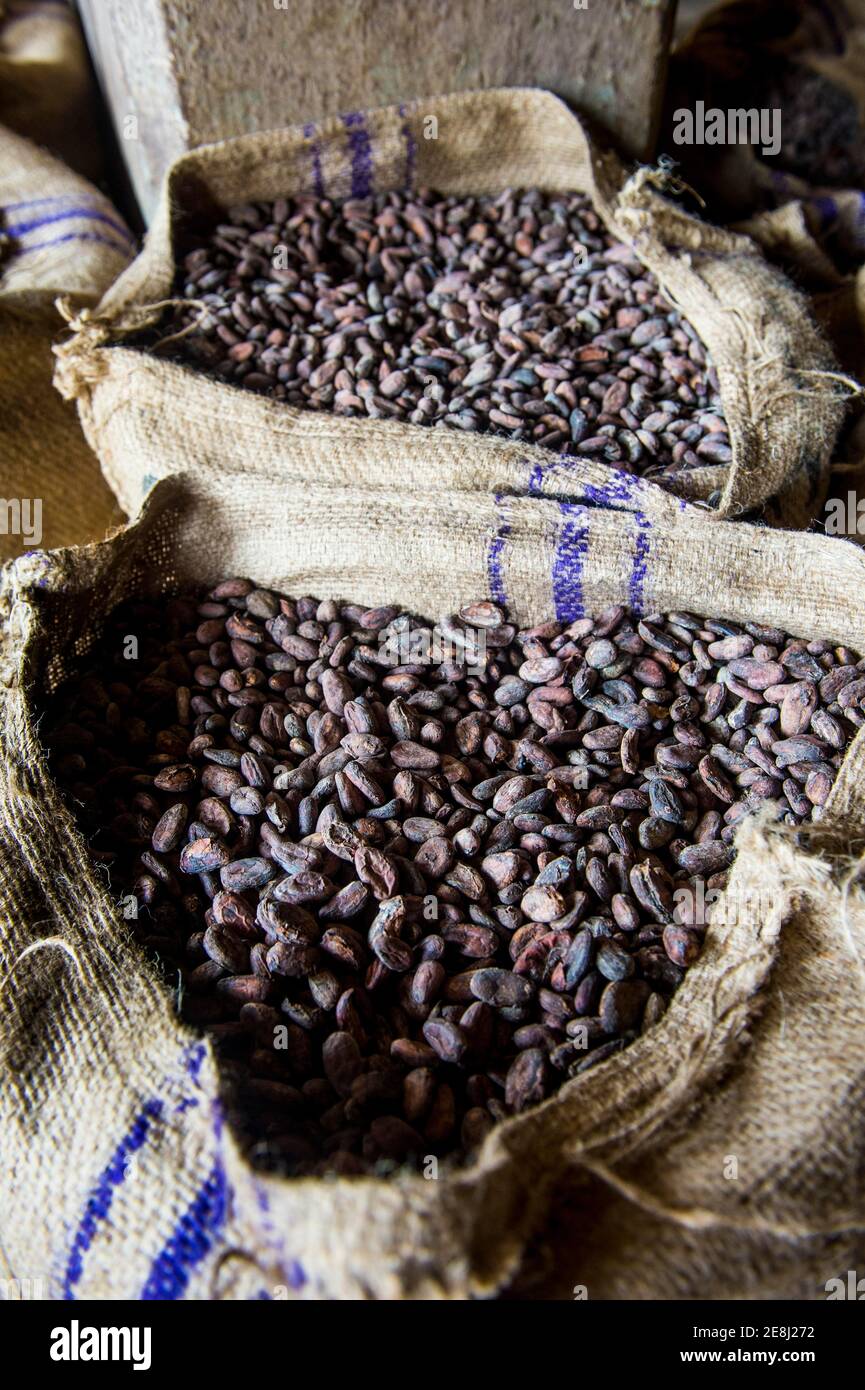 Sacchi pieni di semi di cacao, piantagione di cacao Roca Aguaize, costa orientale di Sao Tome, Sao Tome e Principe, Oceano Atlantico Foto Stock