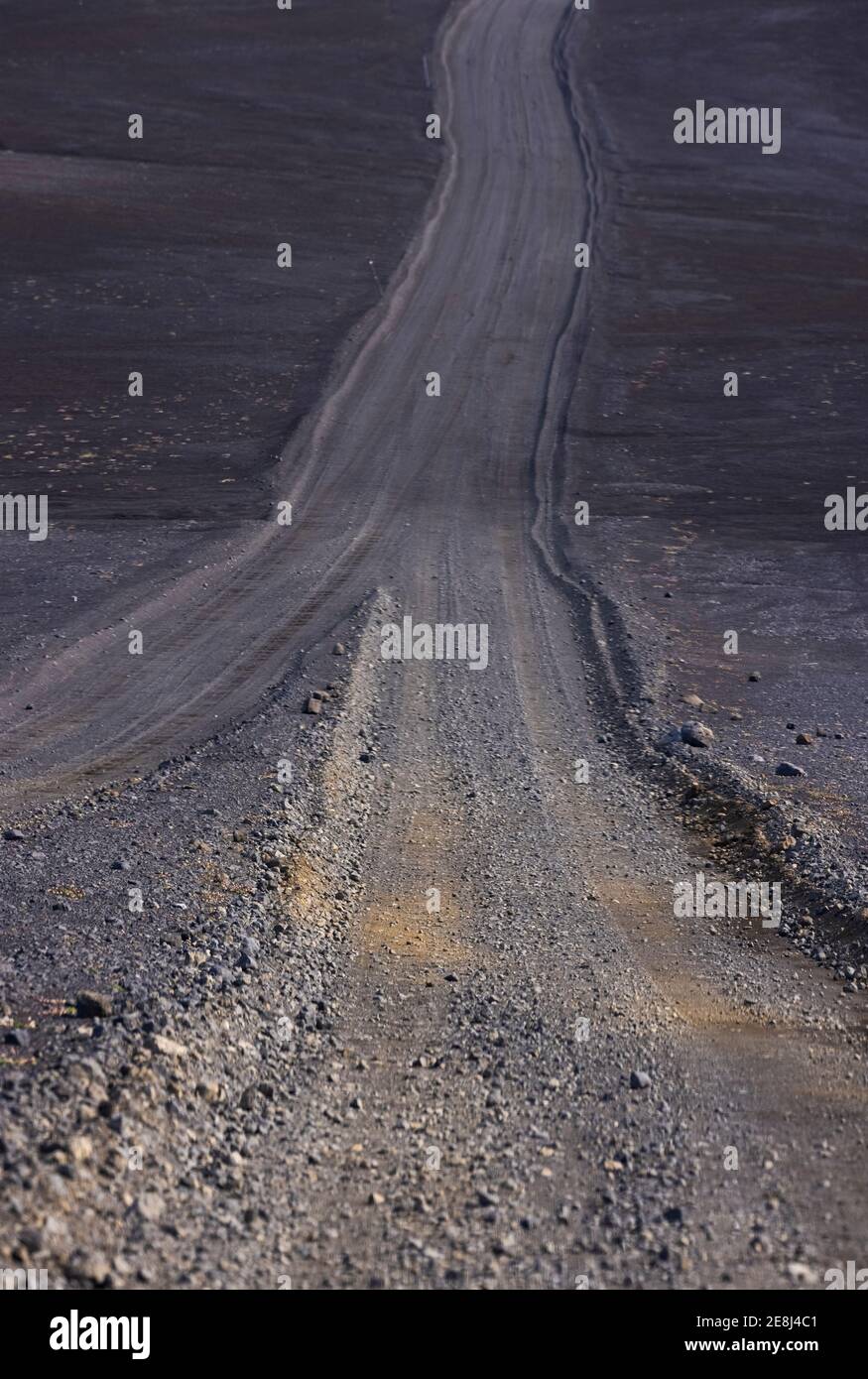 Vuota strada sterrata stretta che attraversa un terreno arido e vasto con vegetazione casuale in luce del giorno Foto Stock