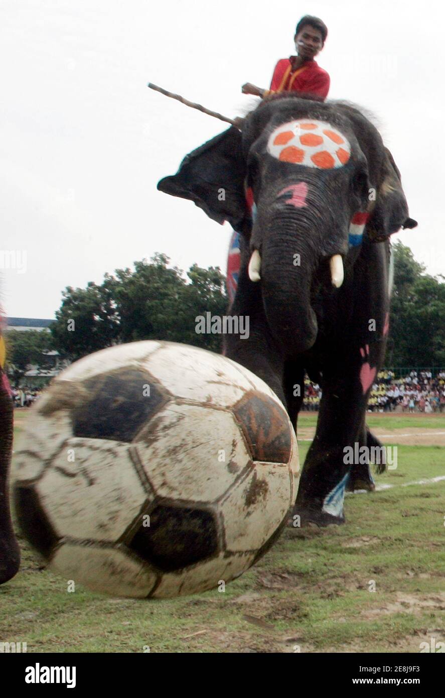 Un elefante gioca a calcio con studenti thailandesi nella provincia di Ayutthaya, 80 km (50 miglia) a nord di Bangkok, Thailandia 22 giugno 2006. La partita si è tenuta per combattere il gioco d'azzardo durante la Coppa del mondo 2006. REUTERS/Chaiwat Subprasom (THAILANDIA) Foto Stock
