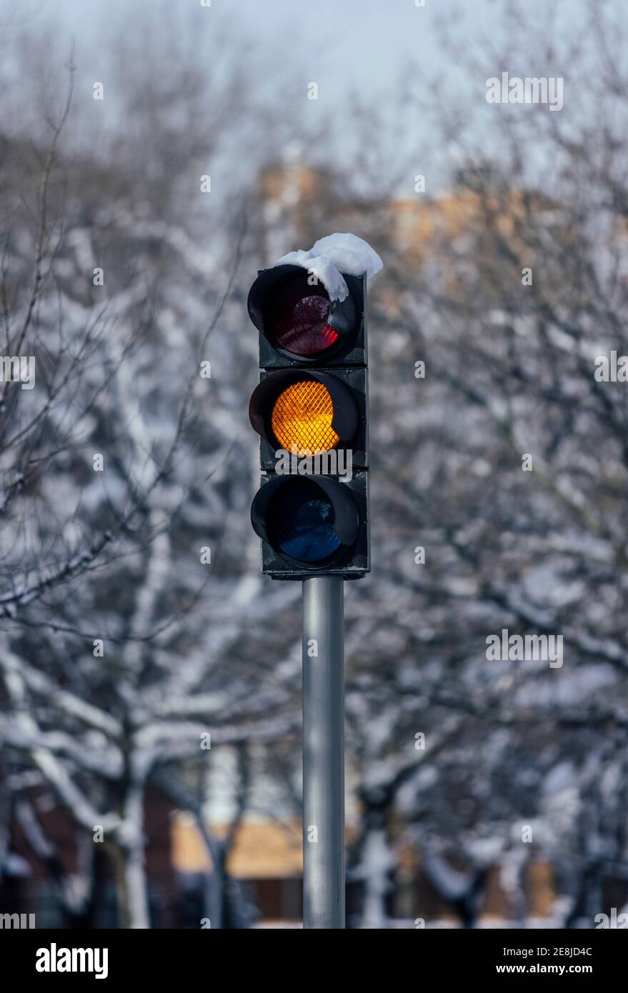 Luce di traffico ambra su palo di metallo contro alberi senza foglie in città in tempo freddo Foto Stock