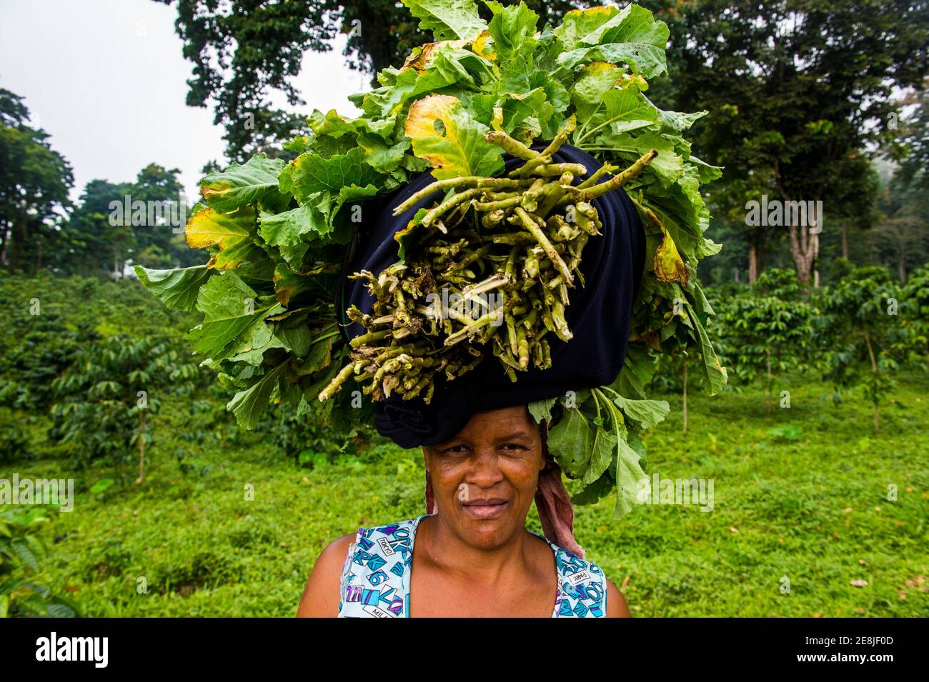 Donna porta un enorme stack di verdure sulla sua testa, Sao Tomé, Sao Tomé e Principe, Oceano Atlantico Foto Stock