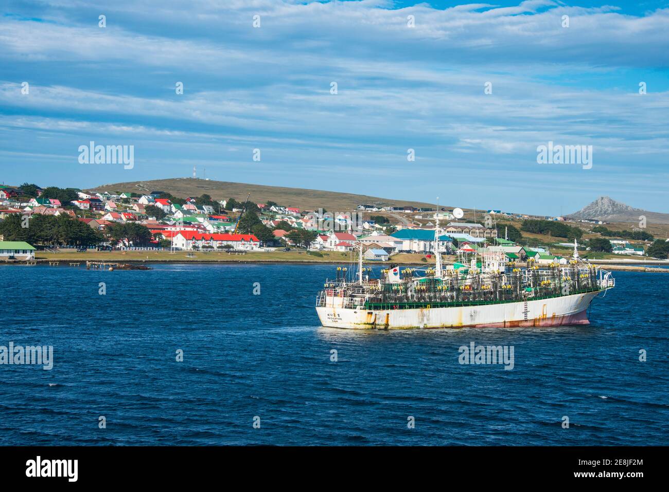 Peschereccio cinese da traino a calamari nella capitale Stanley delle Falklands, in Sud America Foto Stock