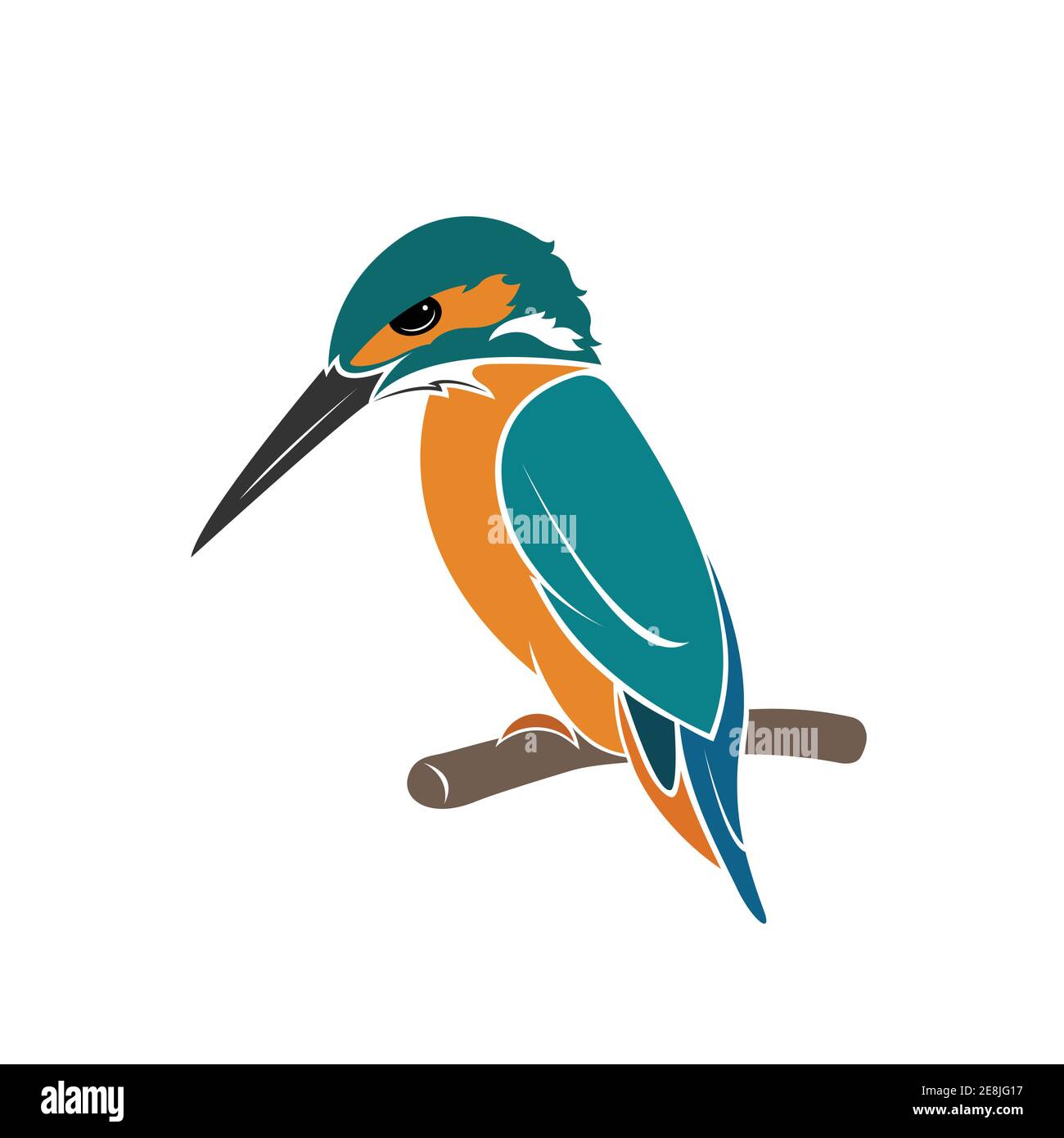 Vettore di disegno di uccello kingfisher su sfondo bianco. Illustrazione vettoriale a livelli facilmente modificabile. Animali selvatici. Illustrazione Vettoriale