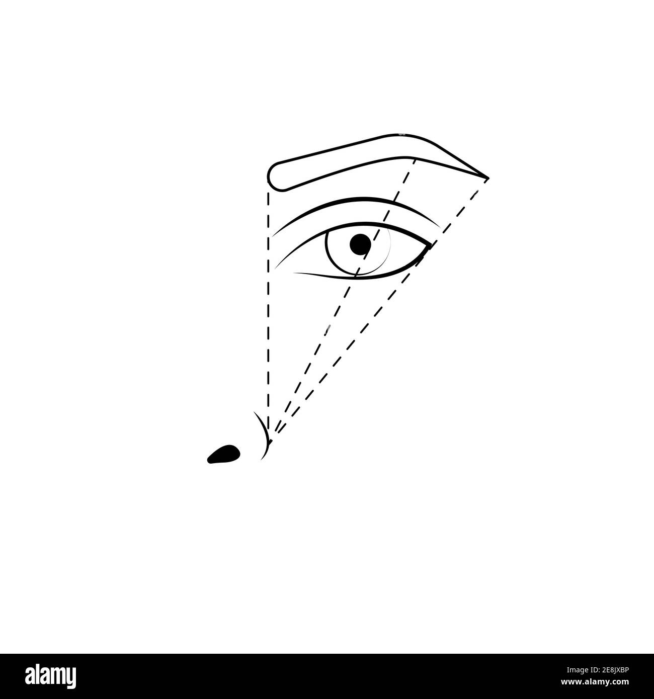 Tatuaggio sopracciglia, schema di marcatura. Correzione delle sopracciglia, illustrazione del vettore a microblading Illustrazione Vettoriale