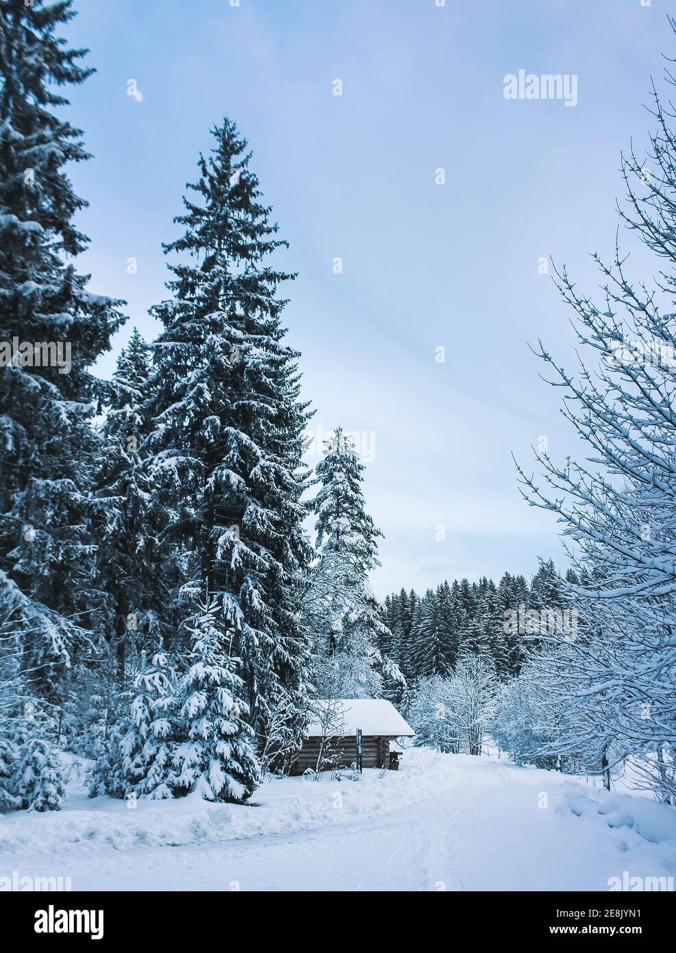 cottage di legno in background foresta invernale Foto Stock