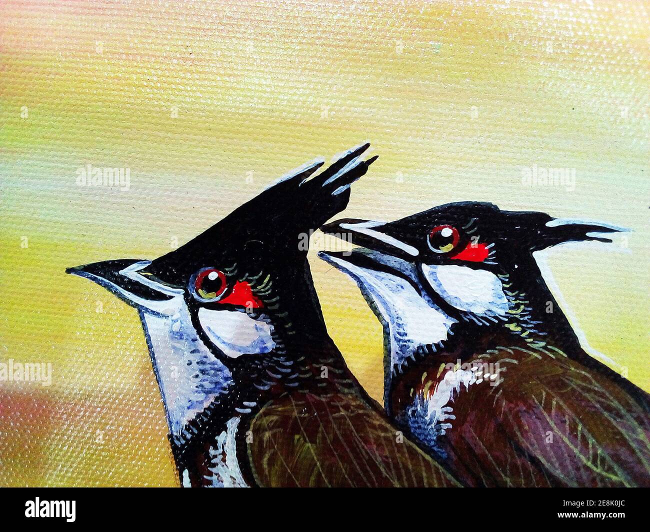 Arte pittura a olio di colore animale rubinetto uccello rosso-baffato bulbul Foto Stock