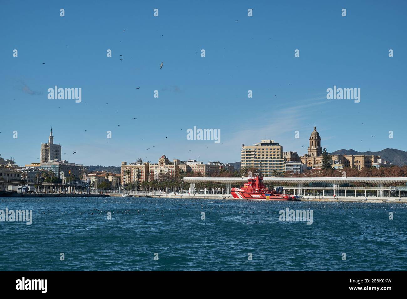 Vista di Malaga dal porto, Andalusia, Spagna. Foto Stock