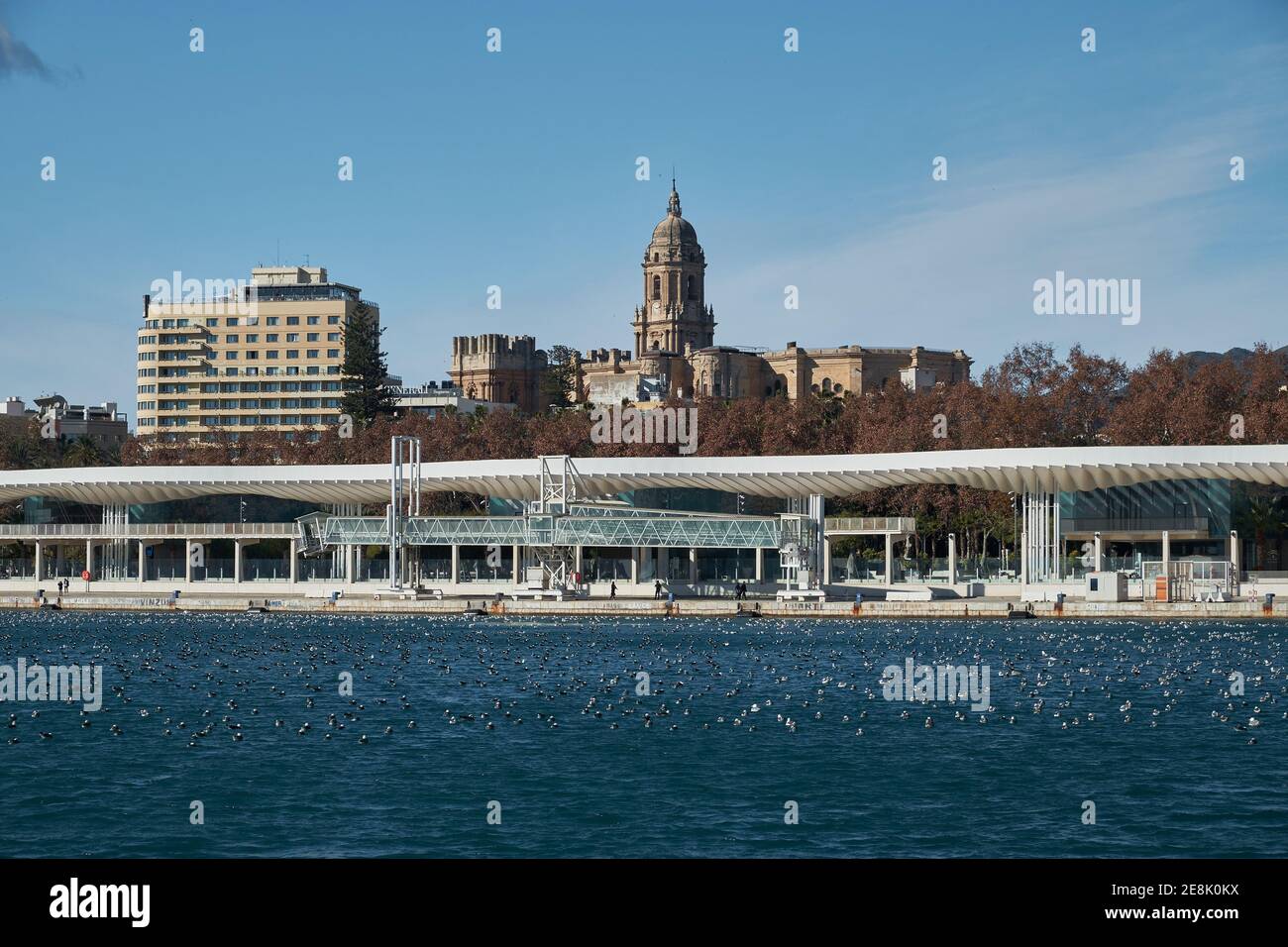 Muelle Dos, porto di Malaga con la Cattedrale e l'Hotel AC Malaga palacio sullo sfondo. Foto Stock