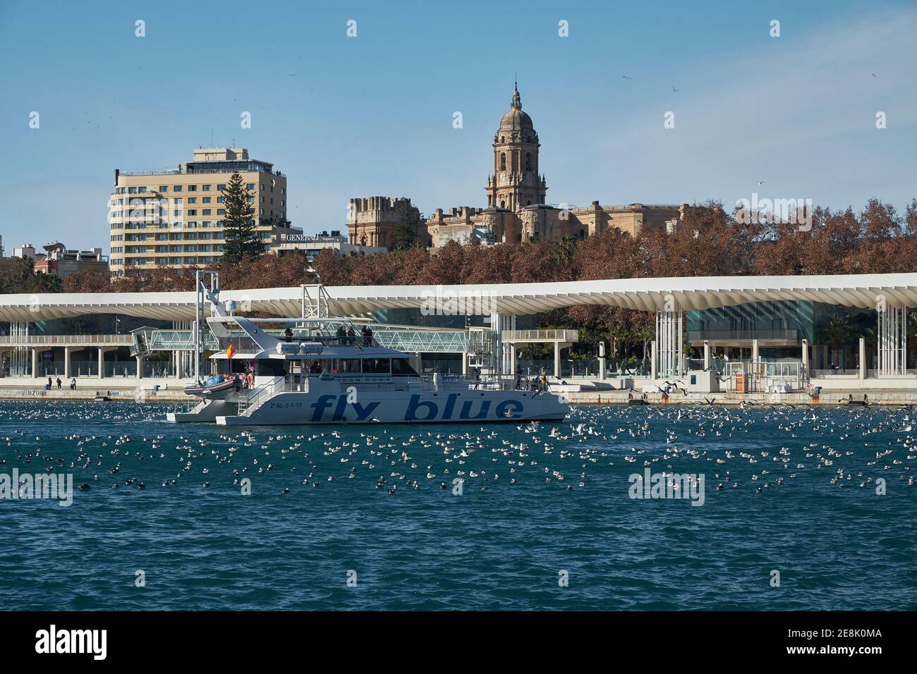 Catamarano per viaggi turistici, porto di Malaga, Muelle Dos, Andalusia, Spagna. Foto Stock