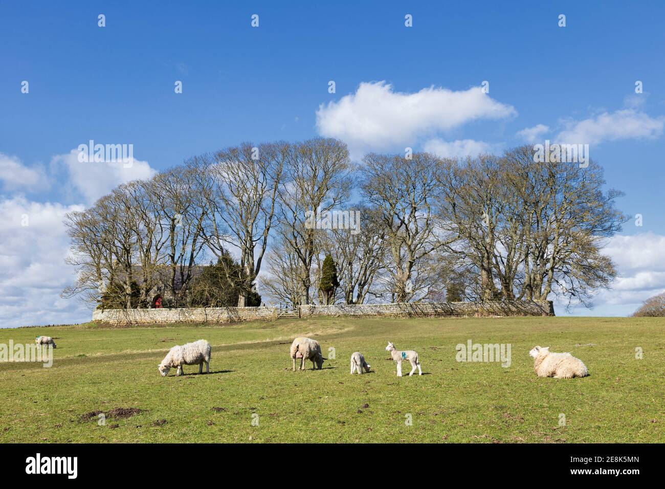 Chiesa di San Oswald a Heavenfield - la chiesa si trova sulla linea del Muro di Adriano nel Northumberland, Regno Unito Foto Stock