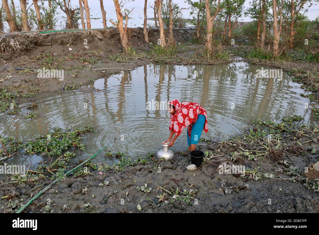 Bagerhat, Bangladesh - 21 gennaio 2021: L'effetto dell'acqua salata è maggiore nelle zone costiere del Bangladesh. La gente in questa regione soffre molto per f Foto Stock