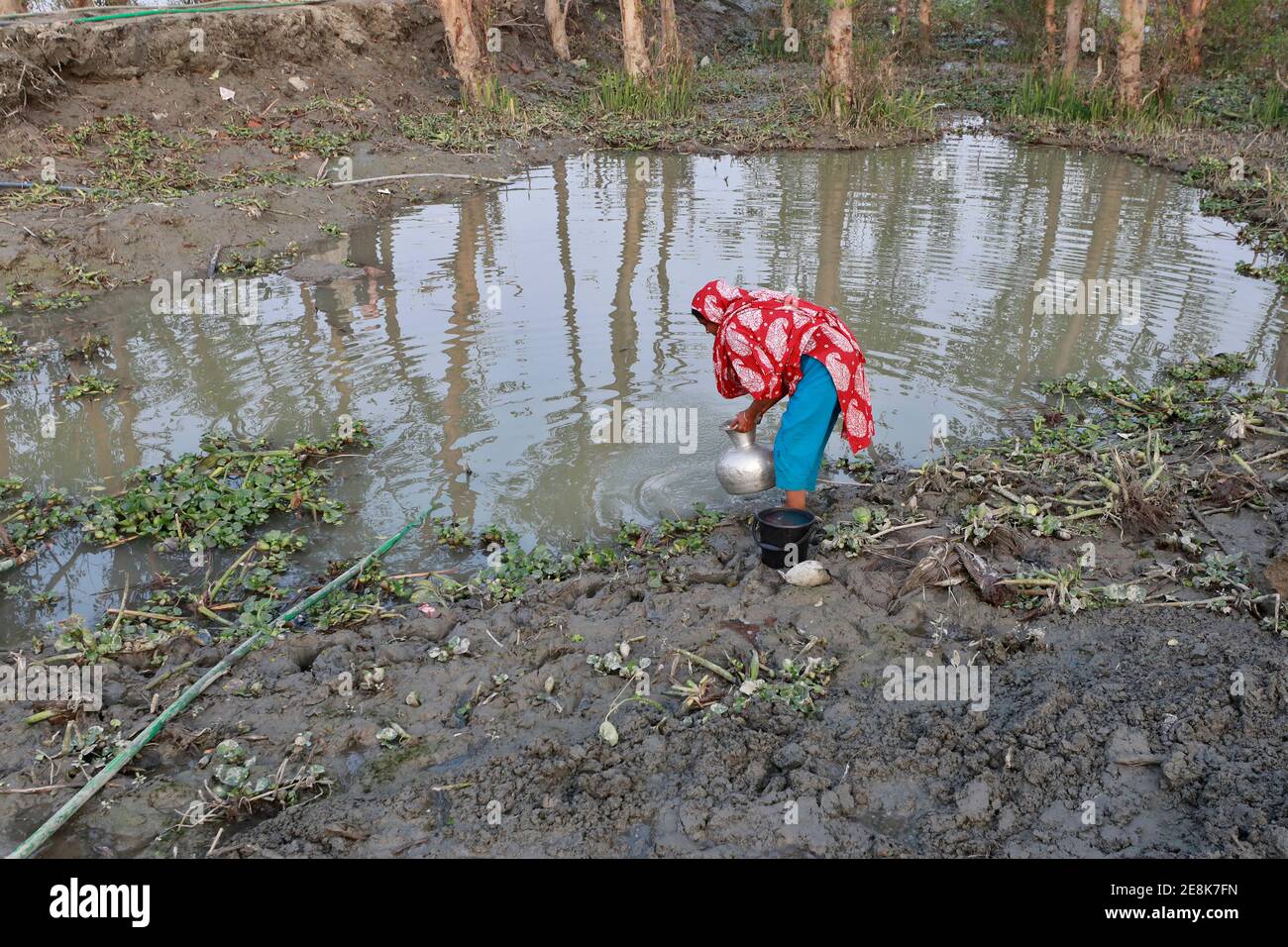 Bagerhat, Bangladesh - 21 gennaio 2021: L'effetto dell'acqua salata è maggiore nelle zone costiere del Bangladesh. La gente in questa regione soffre molto per f Foto Stock