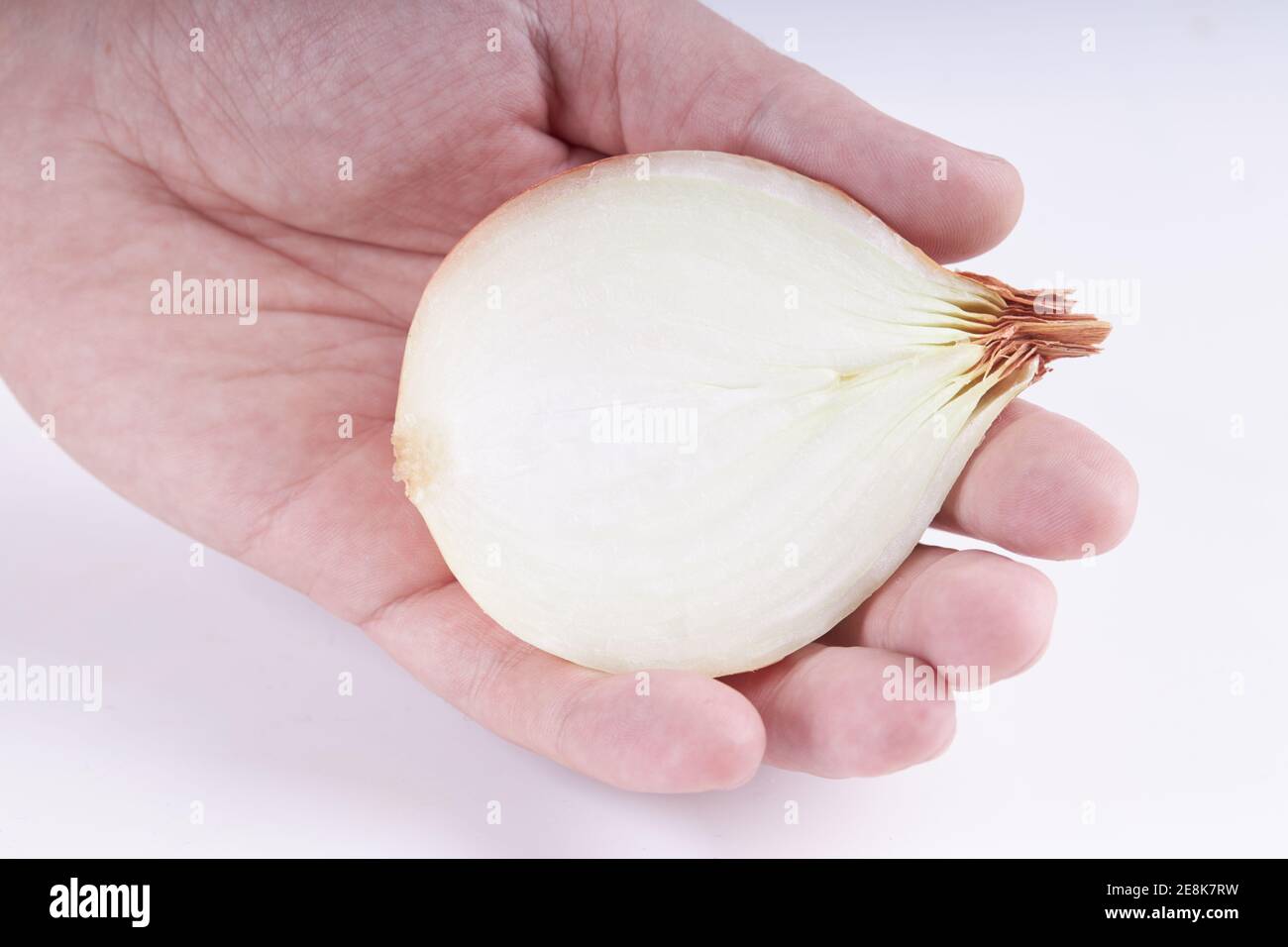 parte di cipolla dorata cruda in mano Foto Stock