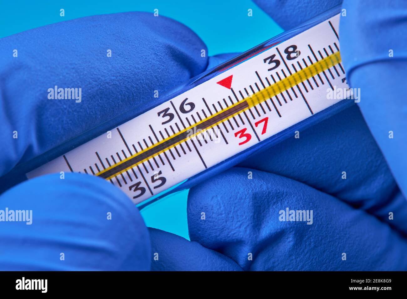 la persona in guanti medici contiene un termometro al mercurio che mostra  37 temperatura. temperatura e febbre concetto Foto stock - Alamy