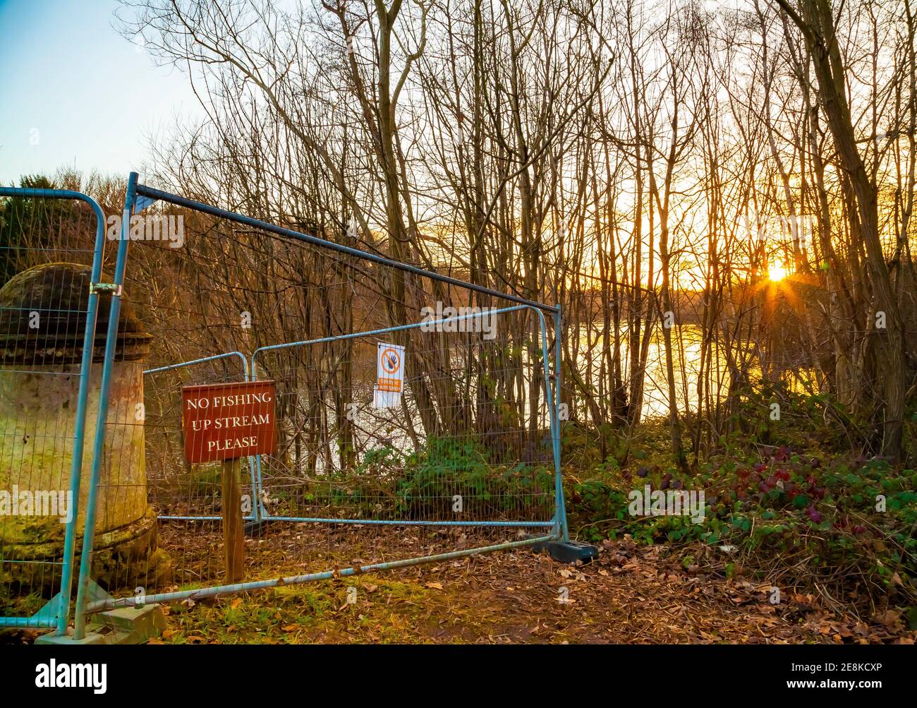 nessun cartello di pesca sul lago con stella del tramonto alberi Foto Stock
